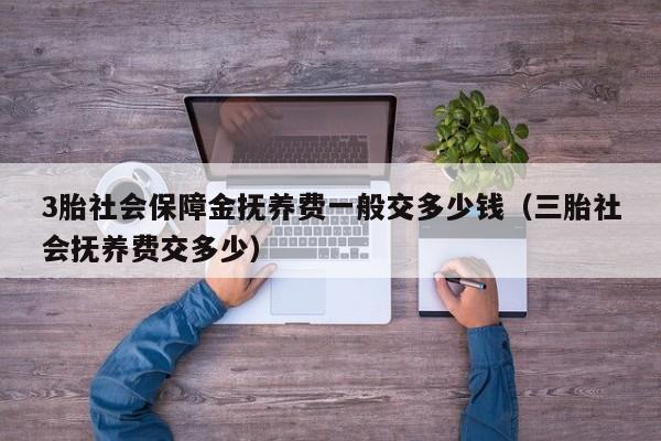 3胎社会保障金抚养费一般交多少钱（三胎社会抚养费交多少）