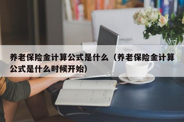 养老保险金计算公式是什么（养老保险金计算公式是什么时候开始）