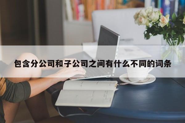 包含分公司和子公司之间有什么不同的词条